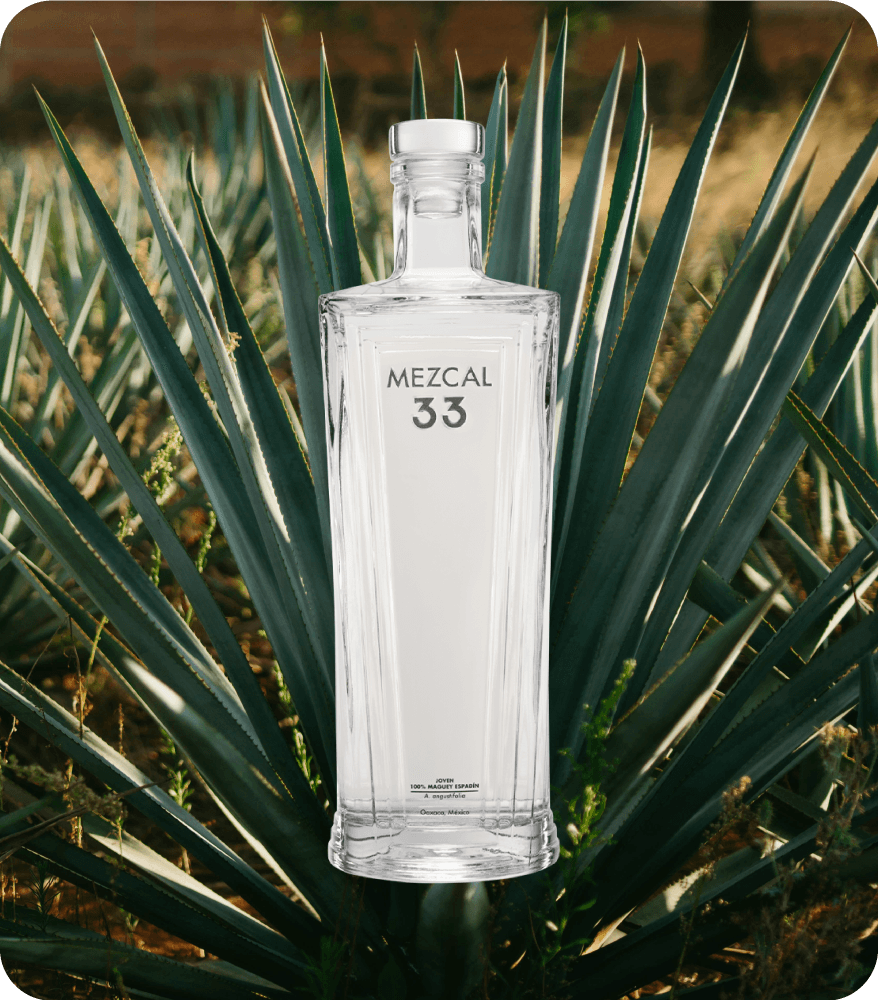 Mezcal 33 Joven — botella sobre planta de agave